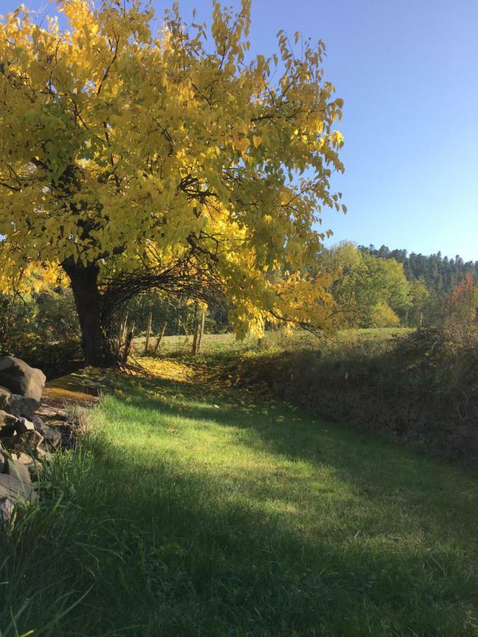 Le Chatel En Beaujolais Valsonne Esterno foto