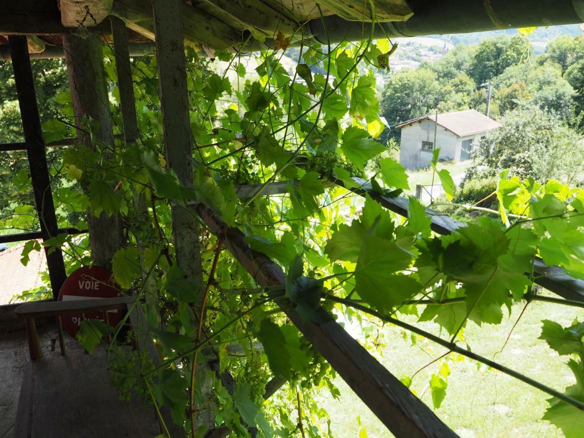 Le Chatel En Beaujolais Valsonne Esterno foto